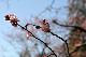 image0242