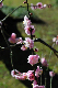 image0243