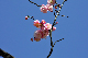 image0244