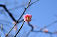 image0245