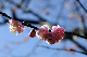 image0246