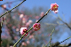 image0247
