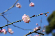 image0248