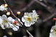 image0249