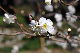 image0251