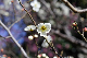 image0252