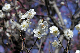 image0253
