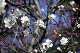 image0254