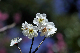 image0255