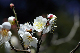 image0256
