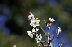 image0257