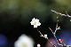 image0258