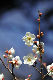 image0259