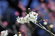 image0260