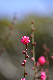image0262