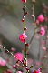 image0263