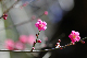 image0264