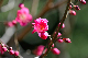 image0266