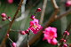 image0267