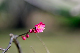 image0270