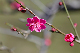 image0271