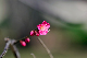 image0272