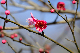 image0273