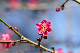 image0274