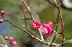 image0275