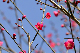 image0276