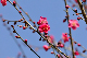 image0277