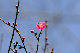 image0278