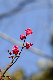 image0279