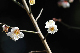 image0281