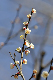 image0282