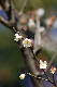 image0283