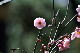image0284
