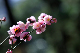 image0285