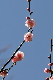 image0287