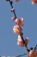 image0288