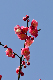 image0289