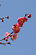 image0290