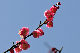 image0291