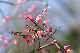 image0292