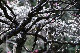 image0293