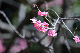 image0294