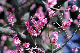 image0295