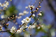 image0296
