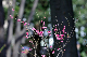 image0297