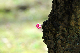 image0298